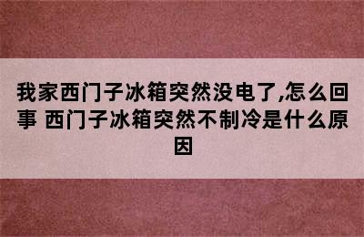 我家西门子冰箱突然没电了,怎么回事 西门子冰箱突然不制冷是什么原因